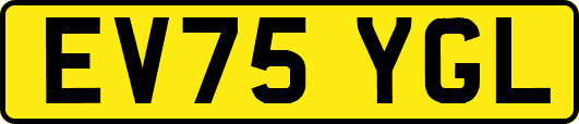EV75YGL