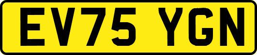 EV75YGN