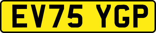 EV75YGP