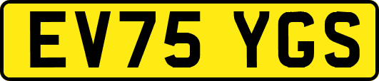 EV75YGS