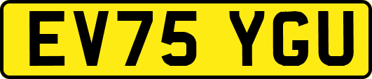 EV75YGU