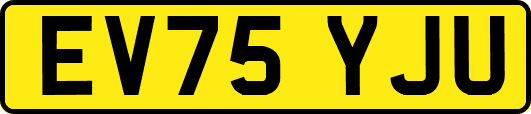 EV75YJU