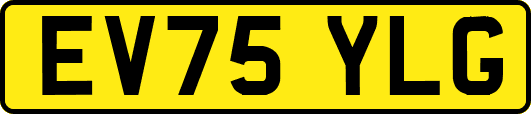 EV75YLG