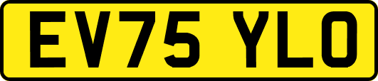 EV75YLO