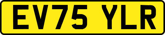 EV75YLR