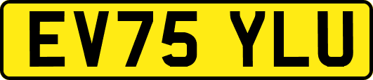 EV75YLU