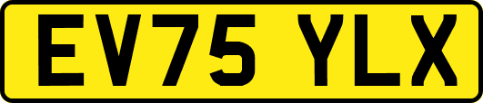 EV75YLX
