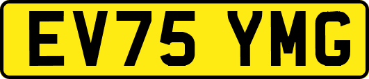 EV75YMG
