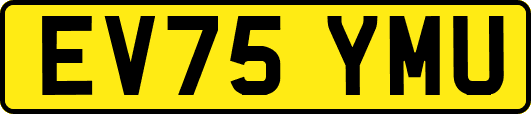 EV75YMU