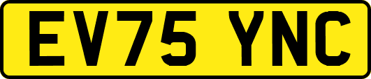 EV75YNC