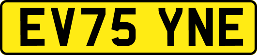 EV75YNE