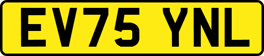 EV75YNL