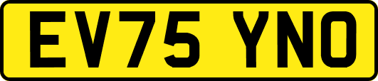 EV75YNO