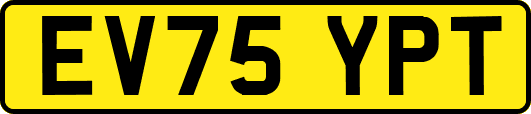 EV75YPT