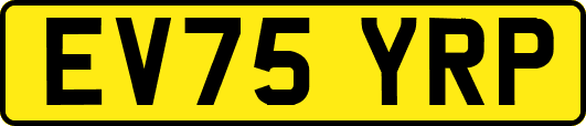 EV75YRP