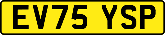 EV75YSP