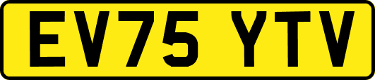 EV75YTV