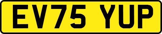 EV75YUP