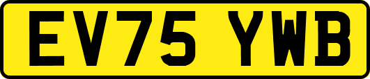 EV75YWB