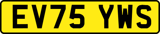 EV75YWS