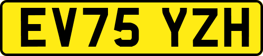 EV75YZH