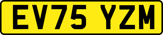 EV75YZM
