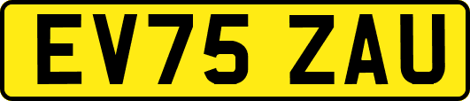 EV75ZAU
