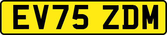 EV75ZDM