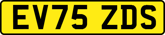 EV75ZDS