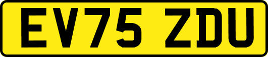 EV75ZDU
