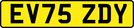 EV75ZDY
