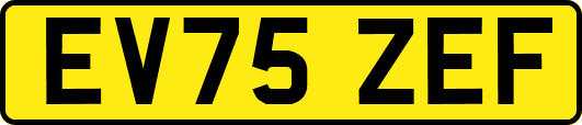EV75ZEF