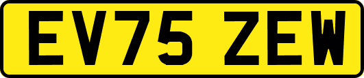 EV75ZEW