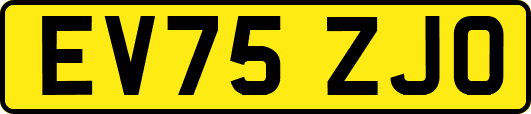 EV75ZJO