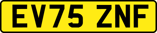 EV75ZNF