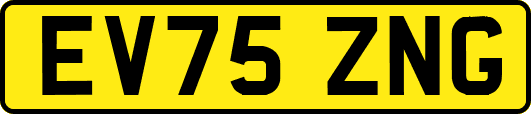 EV75ZNG