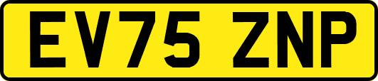 EV75ZNP