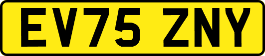 EV75ZNY