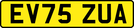 EV75ZUA