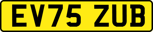 EV75ZUB