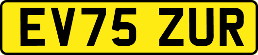 EV75ZUR