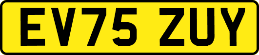 EV75ZUY