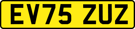 EV75ZUZ