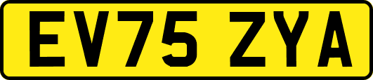 EV75ZYA