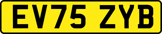 EV75ZYB