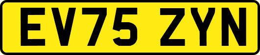 EV75ZYN