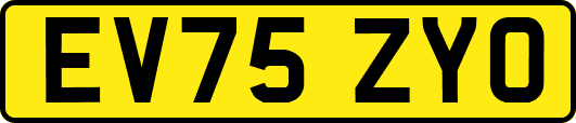 EV75ZYO