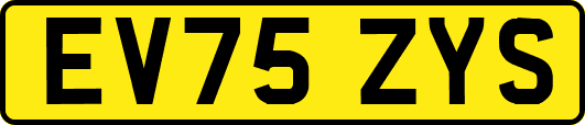 EV75ZYS