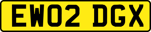 EW02DGX