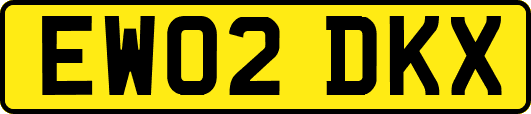 EW02DKX